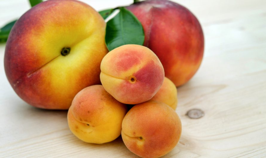 Что приготовить из персиков?